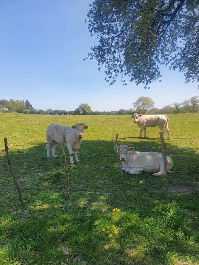 Villa Fleur De Lys Au Puy Du Fou - Stayinvendee La Gaubretiere ภายนอก รูปภาพ